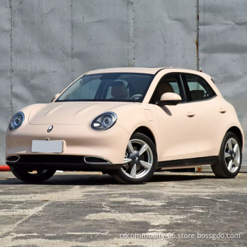 Hot Sale New Energy Vehicle ORA Good Cat Small Car  New Electric Vehicle